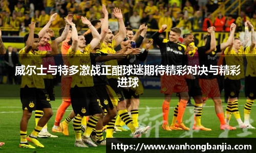 威尔士与特多激战正酣球迷期待精彩对决与精彩进球